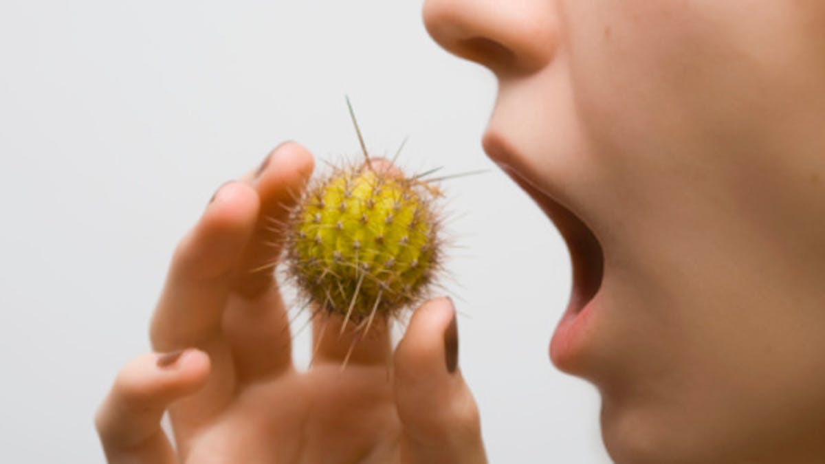 Allergies Alimentaires Attention Aux Allergenes Caches Sante Magazine Allergies Alimentaires Attention Aux Allergenes Caches Sante Magazine