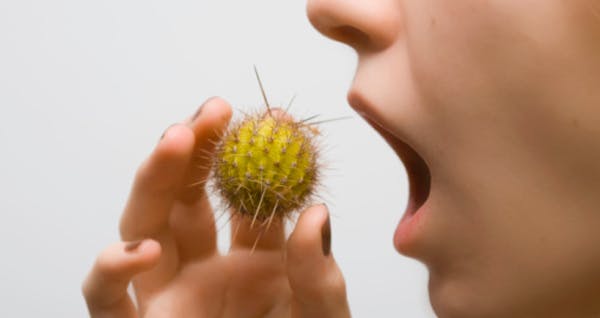 Allergies Alimentaires Attention Aux Allergenes Caches Sante Magazine