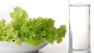 Regime cetogene menus Regime cetogene menus