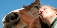 Equithérapie : le cheval au secours des troubles psychologiques