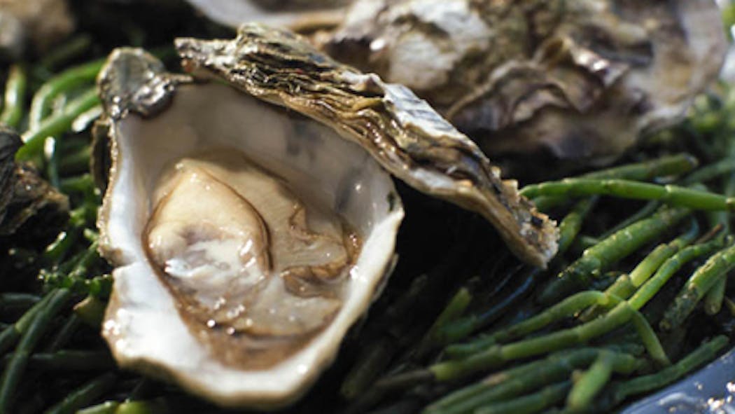 L’huître : un trésor de bienfaits nutritionnels