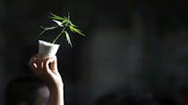 Déconstruire les idées reçues sur le cannabis