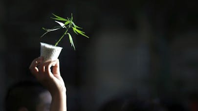 6 Idees Recues Sur Les Effets Du Cannabis Sur La Sante 6 Idees Recues Sur Les Effets Du Cannabis Sur La Sante