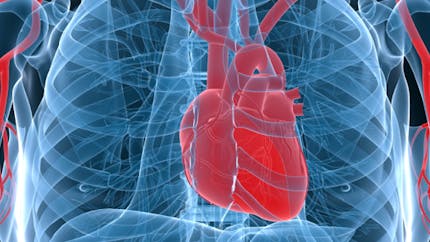 Cœur artificiel : une nouvelle prothèse à l'essai