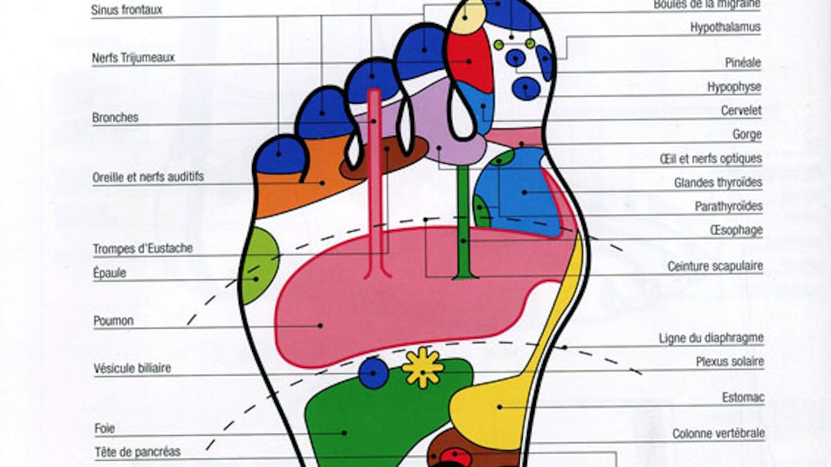 Reflexologie Plantaire Sante Magazine Reflexologie Plantaire Sante Magazine