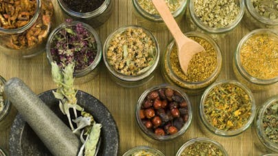 La Phytotherapie En Pratique Bien Utiliser Les Plantes Sante Magazine La Phytotherapie En Pratique Bien Utiliser Les Plantes Sante Magazine