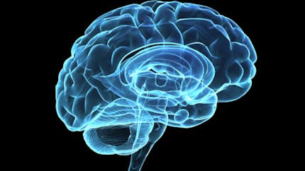 Un pacemaker cérébral contre la maladie d'Alzheimer