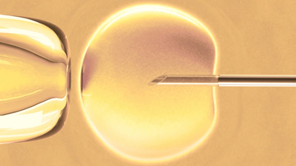 La conservation des ovocytes sans raison médicale pourrait être autorisée