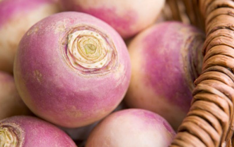 Le Navet Un Legume Racine Essentiel Sante Magazine Le Navet Un Legume Racine Essentiel Sante Magazine