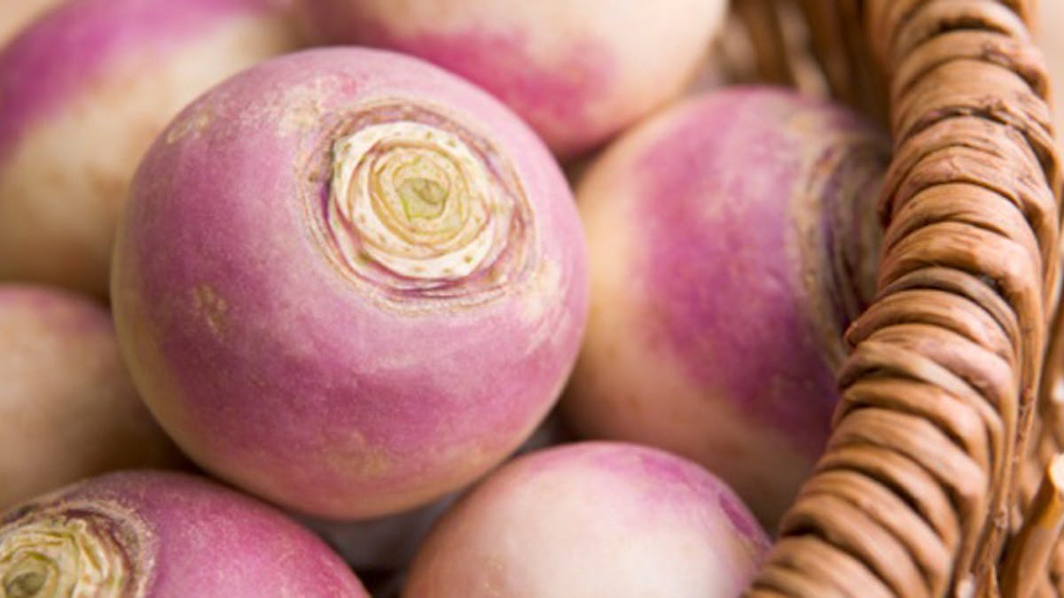 Le Navet Un Legume Racine Essentiel Sante Magazine Le Navet Un Legume Racine Essentiel Sante Magazine