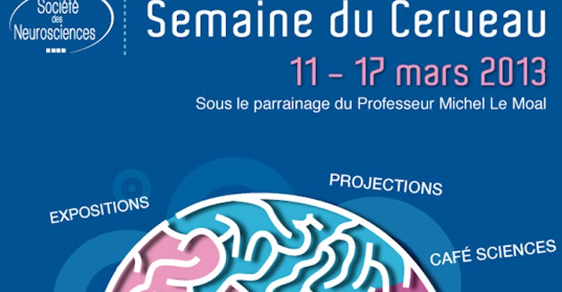 Semaine du cerveau : des évènements dans toute la France