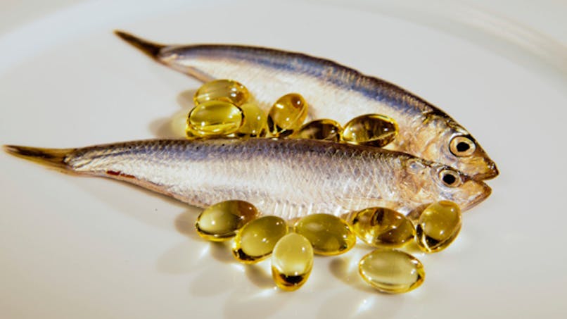 L'huile de poisson, un remède contre la malbouffe