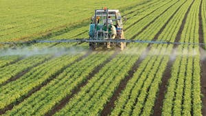 Pesticides : l’Inserm pointe des risques pour la santé
