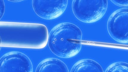 Recherche sur l'embryon : le Parlement adopte définitivement le texte