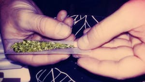 Cannabis : l’opinion des Français évolue