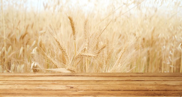 Contre Le Colon Irritable Preferez Le Kamut Au Ble Sante Magazine