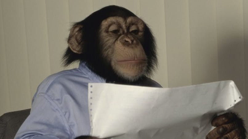 Un Chimpanze S Oriente Mieux Qu Un Enfant Sante Magazine Un Chimpanze S Oriente Mieux Qu Un Enfant Sante Magazine