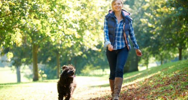 Des compléments alimentaires pour mon chien ou mon chat ?  Santé 