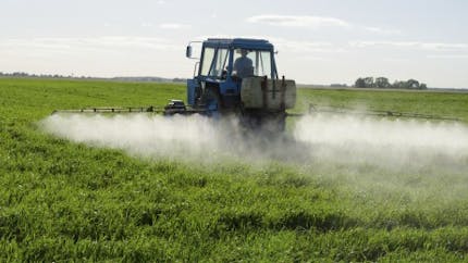 Pesticides : les vrais risques pour la santé