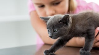 Comment enlever les varices sur les jambes Comment enlever les varices sur les jambes