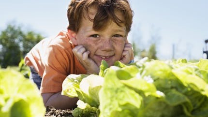 Alimentation : 43 % des Français font pousser leurs légumes