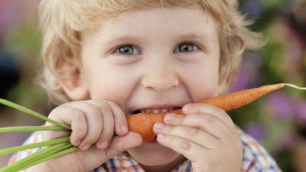 Nutrition enfants : pensez aux légumes surgelés ou en conserve !
