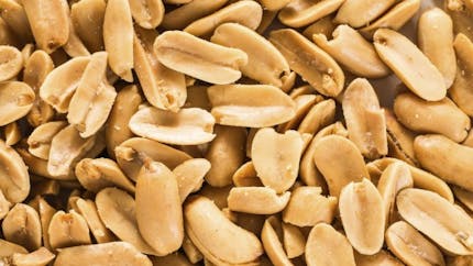 Allergie à la cacahuète : faut-il introduire l'arachide très tôt chez l'enfant ?