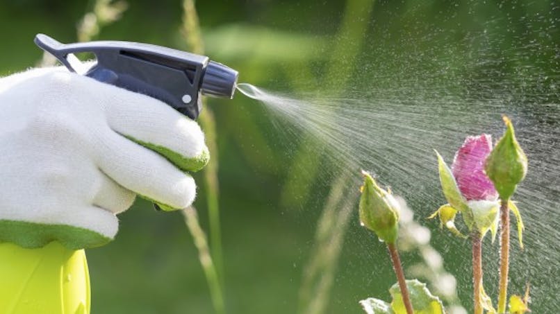 Le RoundUp et quatre autres pesticides déclarés cancérigènes