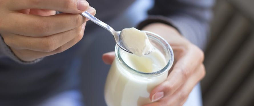 Tout savoir sur le yaourt à la grecque - Meilleure yaourtière
