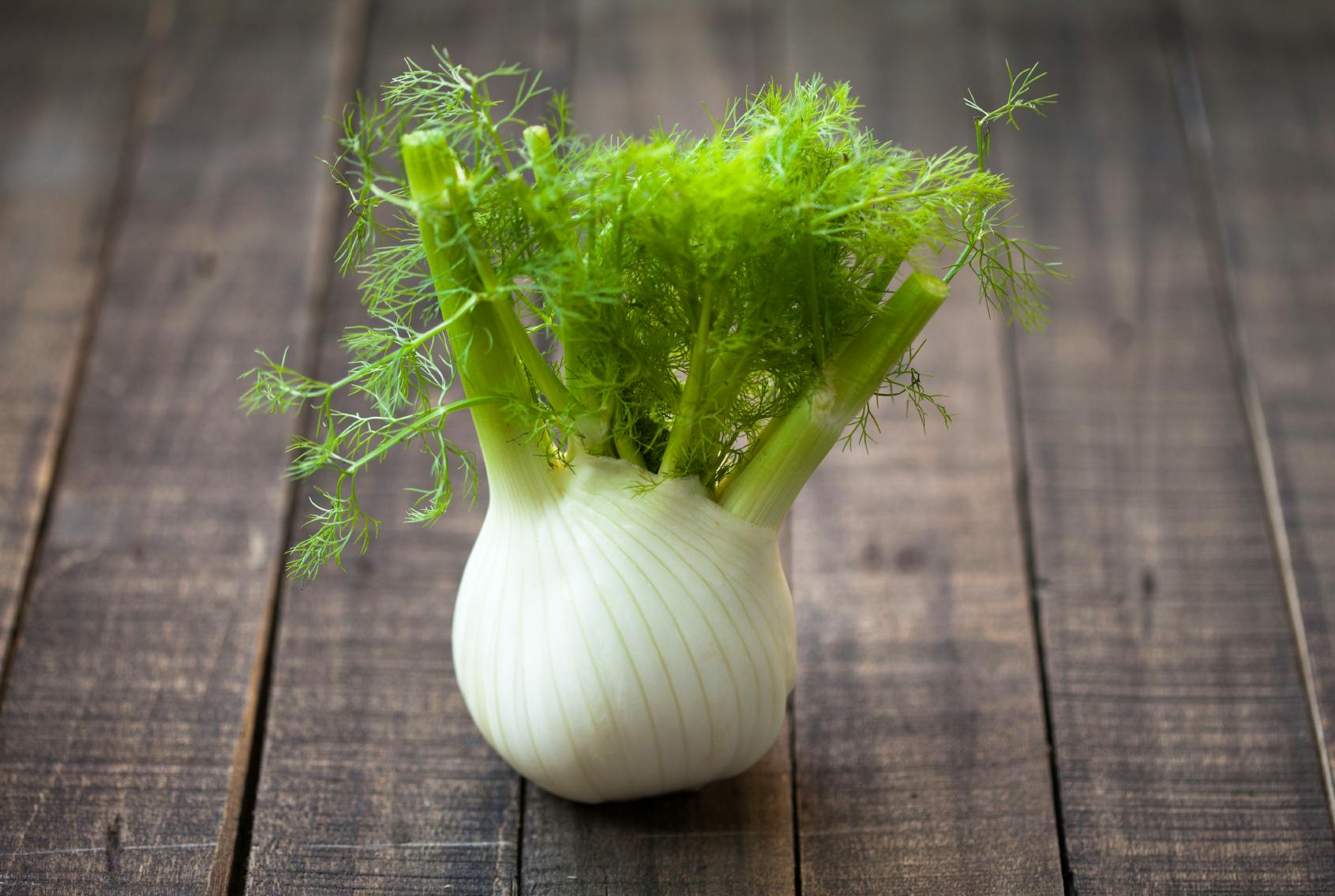 Le fenouil, un légume minceur bon pour la digestion | Santé Magazine