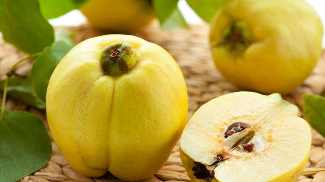 Le coing, un fruit d'automne riche en minéraux | Santé Magazine