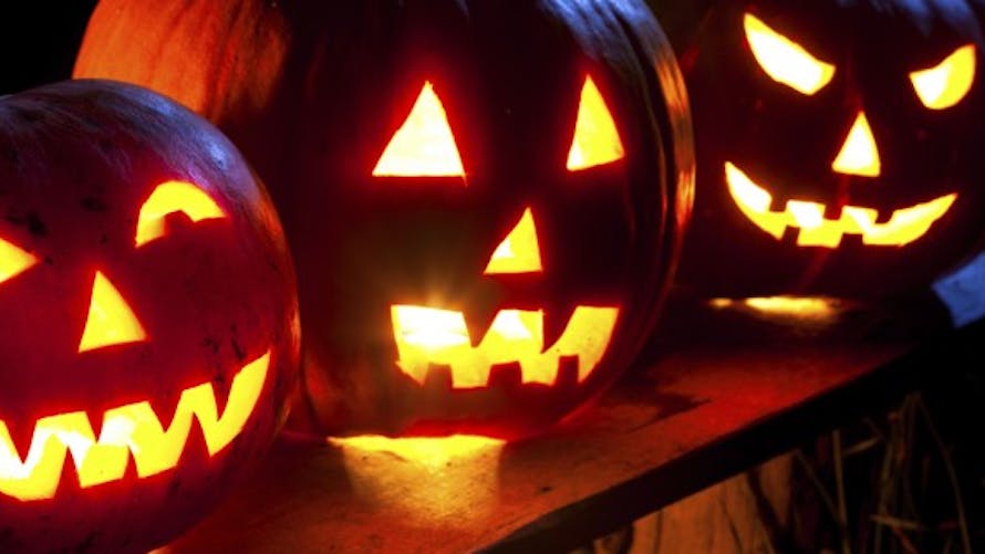 Halloween : quoi faire avec l’intérieur de la citrouille ?