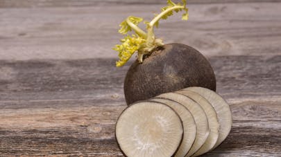 Le Radis Noir L Allie Detox De L Hiver Sante Magazine