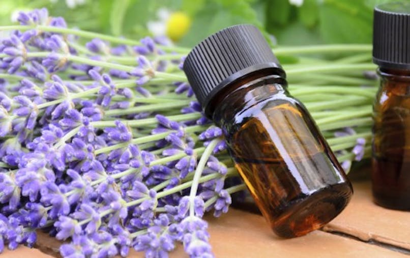 Hypertension  4 solutions naturelles pour équilibrer sa tension