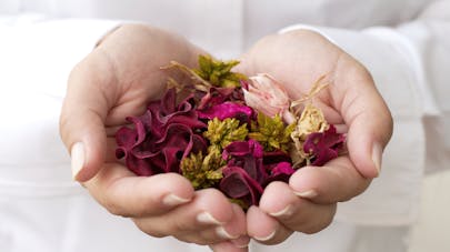 Les Plantes Qui Soignent L Anxiete Et Les Troubles Du Sommeil Sante Magazine Les Plantes Qui Soignent L Anxiete Et Les Troubles Du Sommeil Sante Magazine