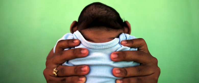 Microcephalie Zika Ou Insecticide Qui Est Le Coupable Sante Magazine