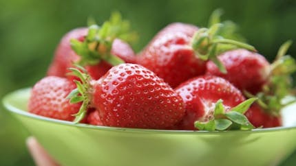 Les bienfaits santé des fraises : un fruit aux multiples vertus