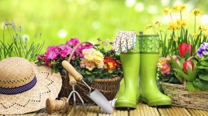 Eloigner Les Moustiques Du Jardin