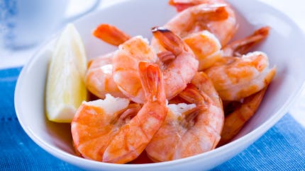 Six bonnes raisons de manger des crevettes