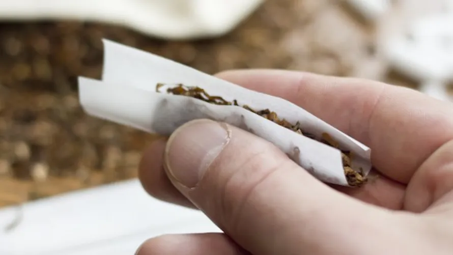evo green tobacco sticks Evo Tobacco Sticks Green GB, 20pcs : fast delivery by App or Online