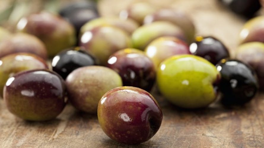Tous les bienfaits santé des olives