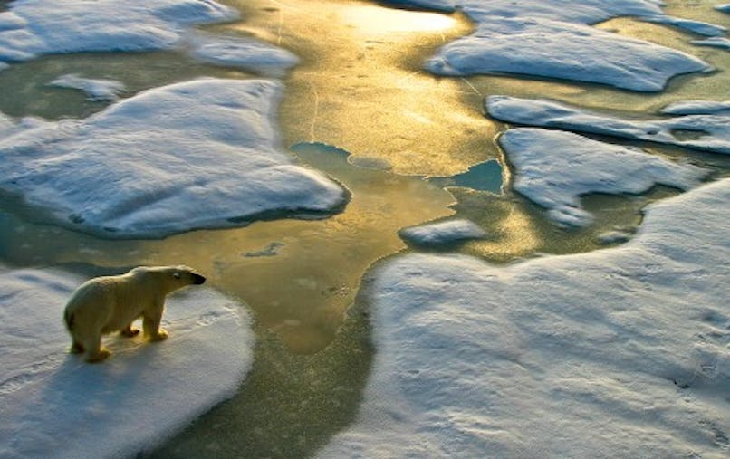 4 Maladies Liees Au Rechauffement Climatique Sante Magazine 4 Maladies Liees Au Rechauffement Climatique Sante Magazine