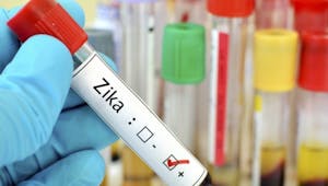 Zika : un vermifuge pourrait faire office de traitement contre le virus