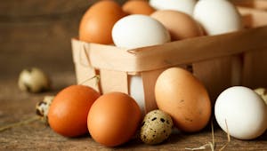 Qu'est-ce qu'un œuf bio ?