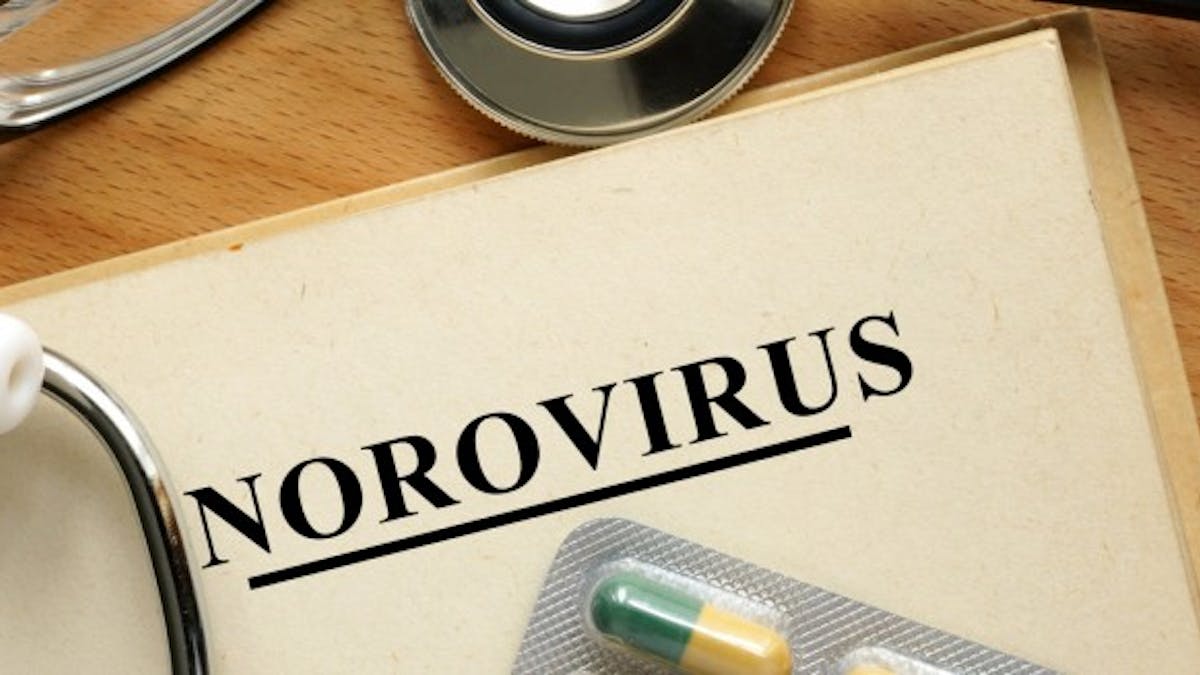 4 choses à savoir sur le norovirus, le virus de la gastro