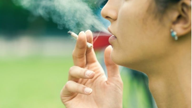 Cannabis Une Consommation Avant 17 Ans Nocive Pour Le Cerveau Sur Le Long Terme Sante Magazine Cannabis Une Consommation Avant 17 Ans Nocive Pour Le Cerveau Sur Le Long Terme Sante Magazine