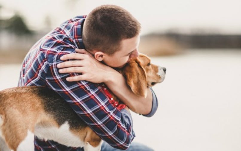 Contre Le Stress Et L Ennui Les Chiens Et Chats Consideres Comme Des Facteurs De Bien Etre Sante Magazine Contre Le Stress Et L Ennui Les Chiens Et Chats Consideres Comme Des Facteurs De Bien Etre Sante Magazine