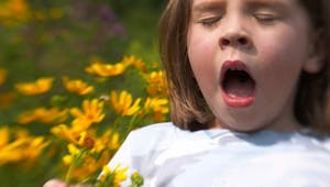Augmentation des allergies respiratoires : le cri d’alarme des allergologues