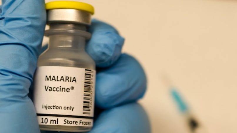 Journée mondiale du paludisme : l'OMS teste un nouveau vaccin