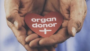 Journée nationale de réflexion sur le don d’organes: les réponses aux questions les plus courantes